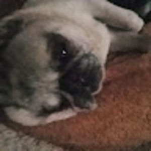 Meet your Posher, Erik